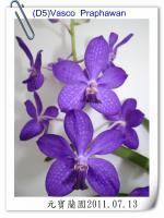 (D5)Vasco  Praphawan