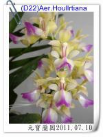 (D22)Aer.Houllrtiana