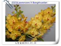 (D23)Lawrencere X Bangkhuwilan