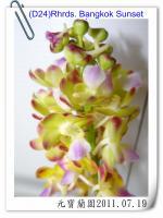 (D24)Rhrds. Bangkok Sunset 