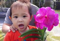 (A102)V.Supsan Pink #85"M"